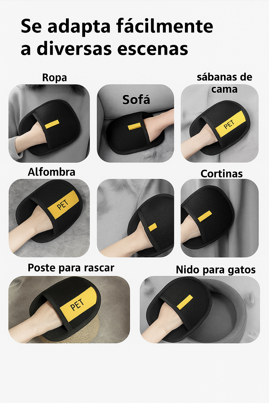 Encabezado