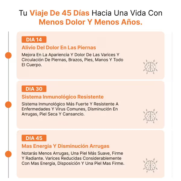 Liposomal con vitamina C - 90 caps
